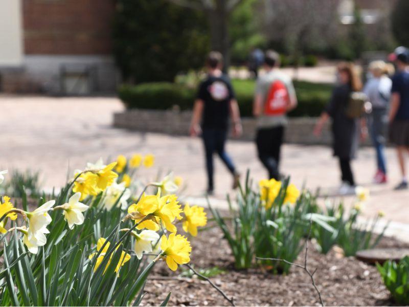 ${ students walking on campus }